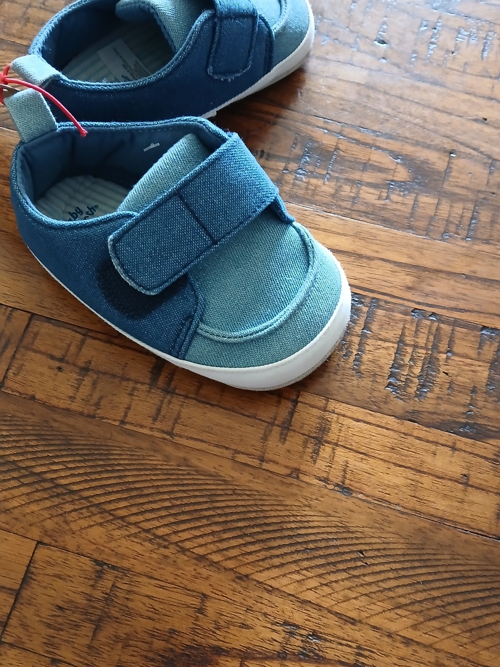 Baby B'gosh